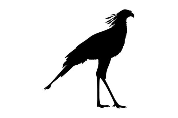 Download Silhouette of a Bird with Distinctive Cr - Distinctive Collection